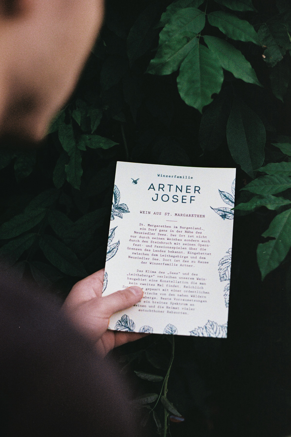 Artner_Flyer
