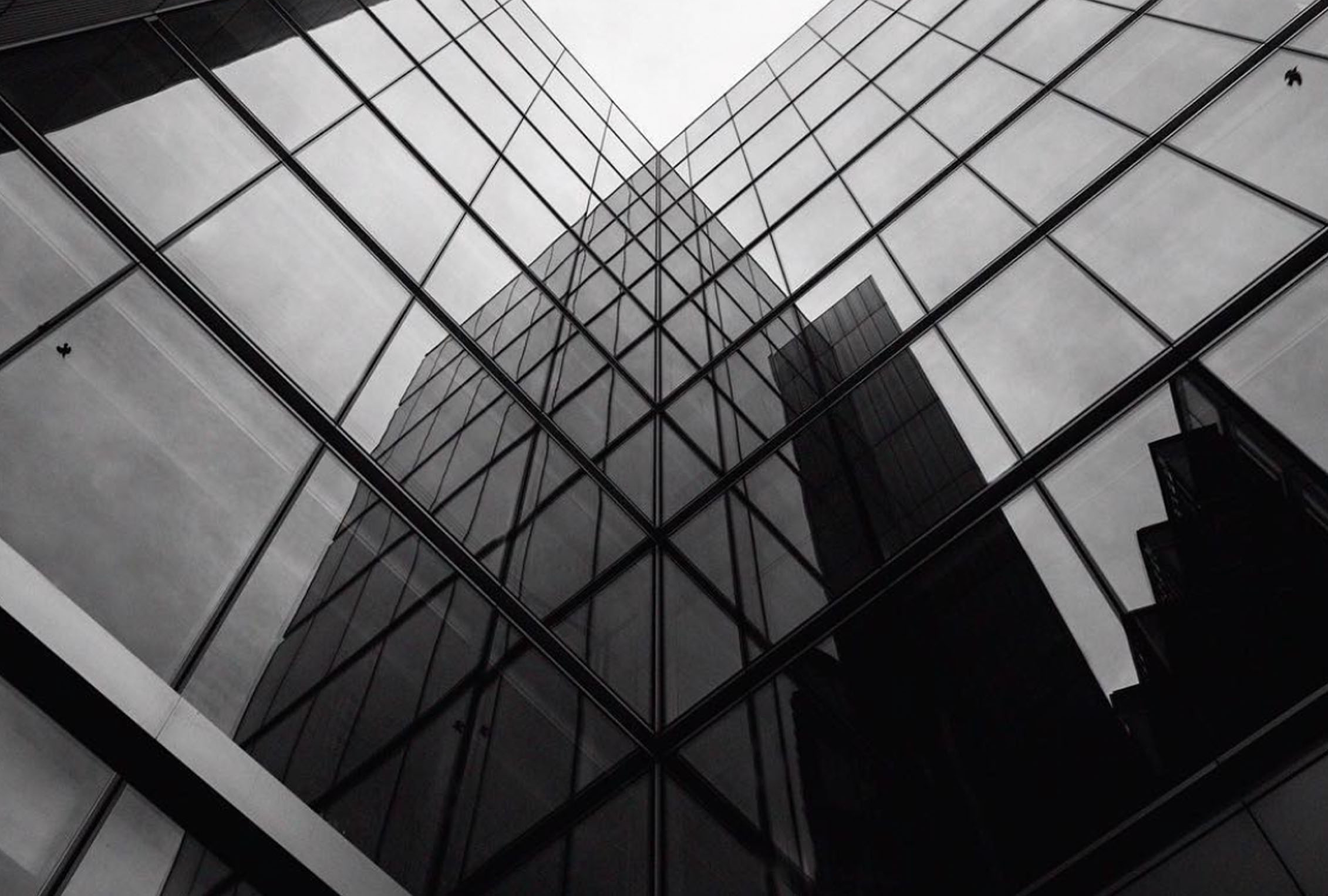 FDLFDD_10